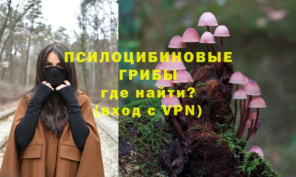 мдпв Медвежьегорск