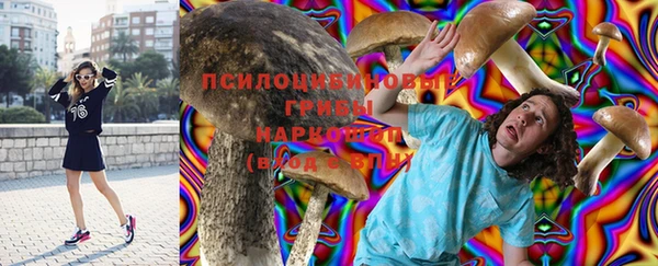 герыч Медногорск