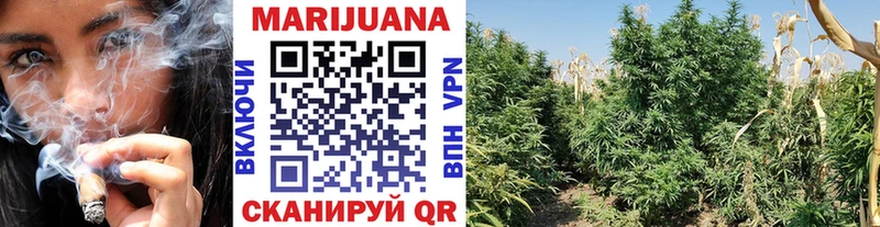 Бошки марихуана Bruce Banner  Михайловка 